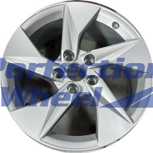 WAO.12100 17x8 Bright Fine Silver Full Face