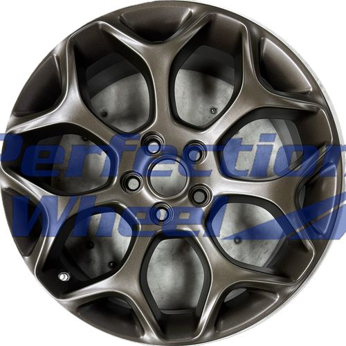 WAO.2537 19x7.5 Brass Monkey Full Face Matte Clear